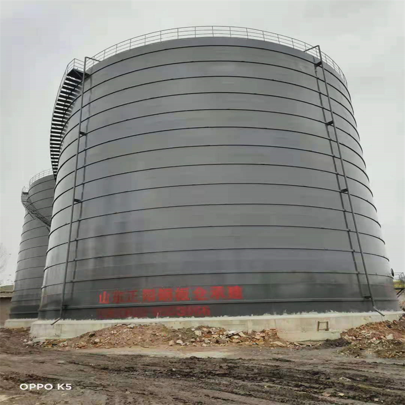 什运乡3万吨大型钢板库